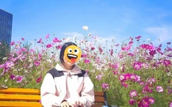 影音先锋 av男人资源